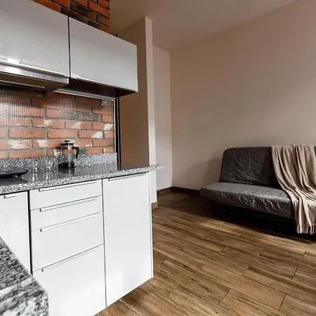 公寓 Apartments- Cozy And Stylish - Kosciuszki 28 *